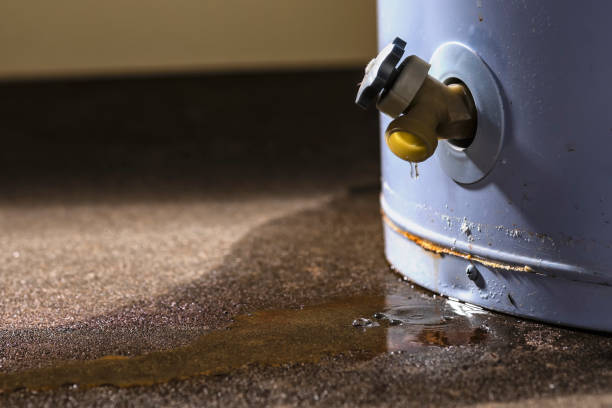 Water damage restoration experts in Sarasota Springs, FL
