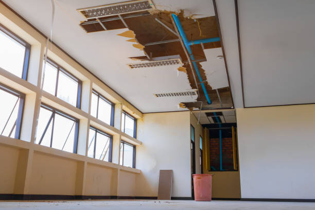 Best Water damage restoration cost  in Sarasota Springs, FL