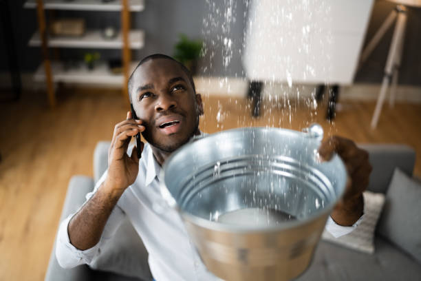 Best Water damage restoration experts  in Sarasota Springs, FL