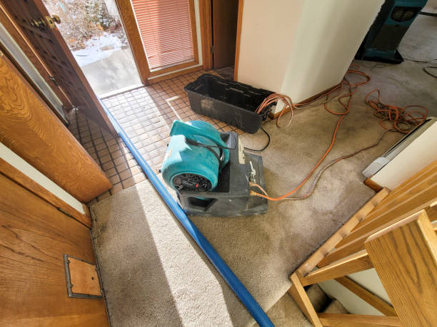 Best Local water damage restoration  in Sarasota Springs, FL