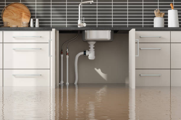 Best Ceiling water damage repair  in Sarasota Springs, FL