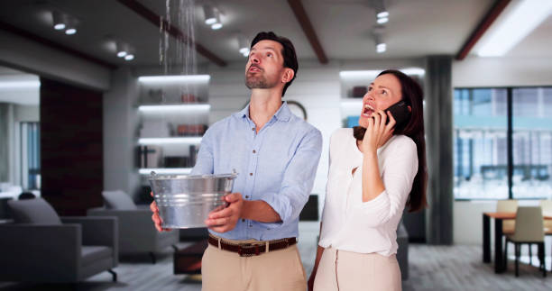Best Ceiling water damage repair  in Sarasota Springs, FL