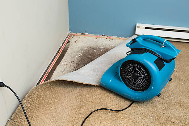 Best Water damage contractors near me  in Sarasota Springs, FL